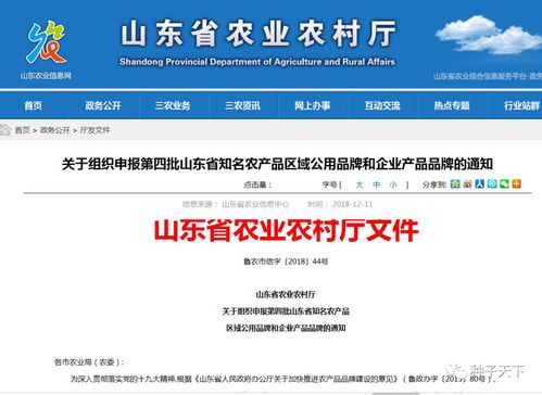 山東啟動省級知名農產品品牌申報競賽，推動農業品牌化發展